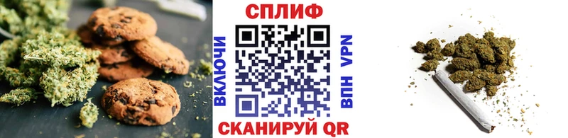 Canna-Cookies марихуана  Купить  Можга 