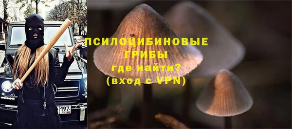 гидропоника Дмитровск