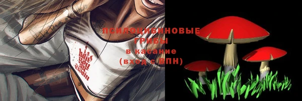 меф VHQ Дмитриев