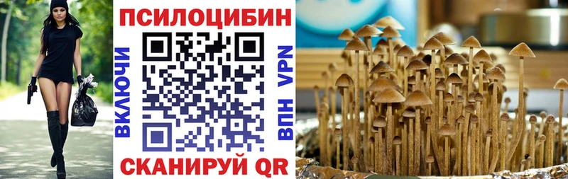 Галлюциногенные грибы Psilocybe  Купить закладки  Можга 
